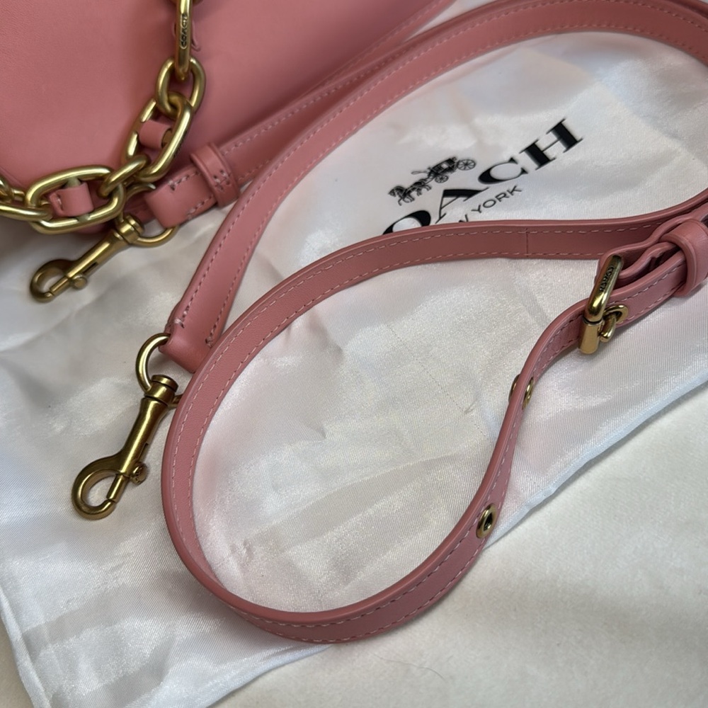 Coach Swinger Chain and Crossbody - Picture 10 of 12
